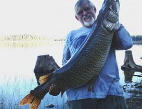 New World-Record Tiger Muskie Caught in Idaho