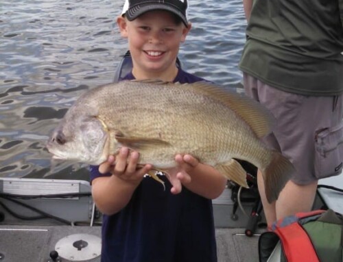 Youth Master Angler Awarded