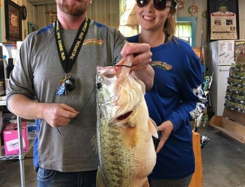 Record-setting bass caught with chicken nugget from McDonald’s