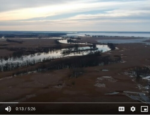 Wolf River Drone Footage March 24