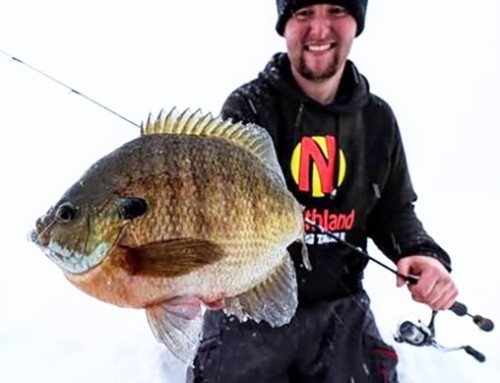 Midwinter Panfish Tips for Tough Bites