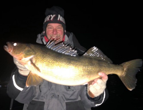 Fall Walleye Patterns on the Fox River and Bay of Green Bay
