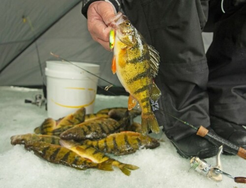 EXPERT TIPS FOR CHOOSING THE BEST ICE FISHING TACKLE